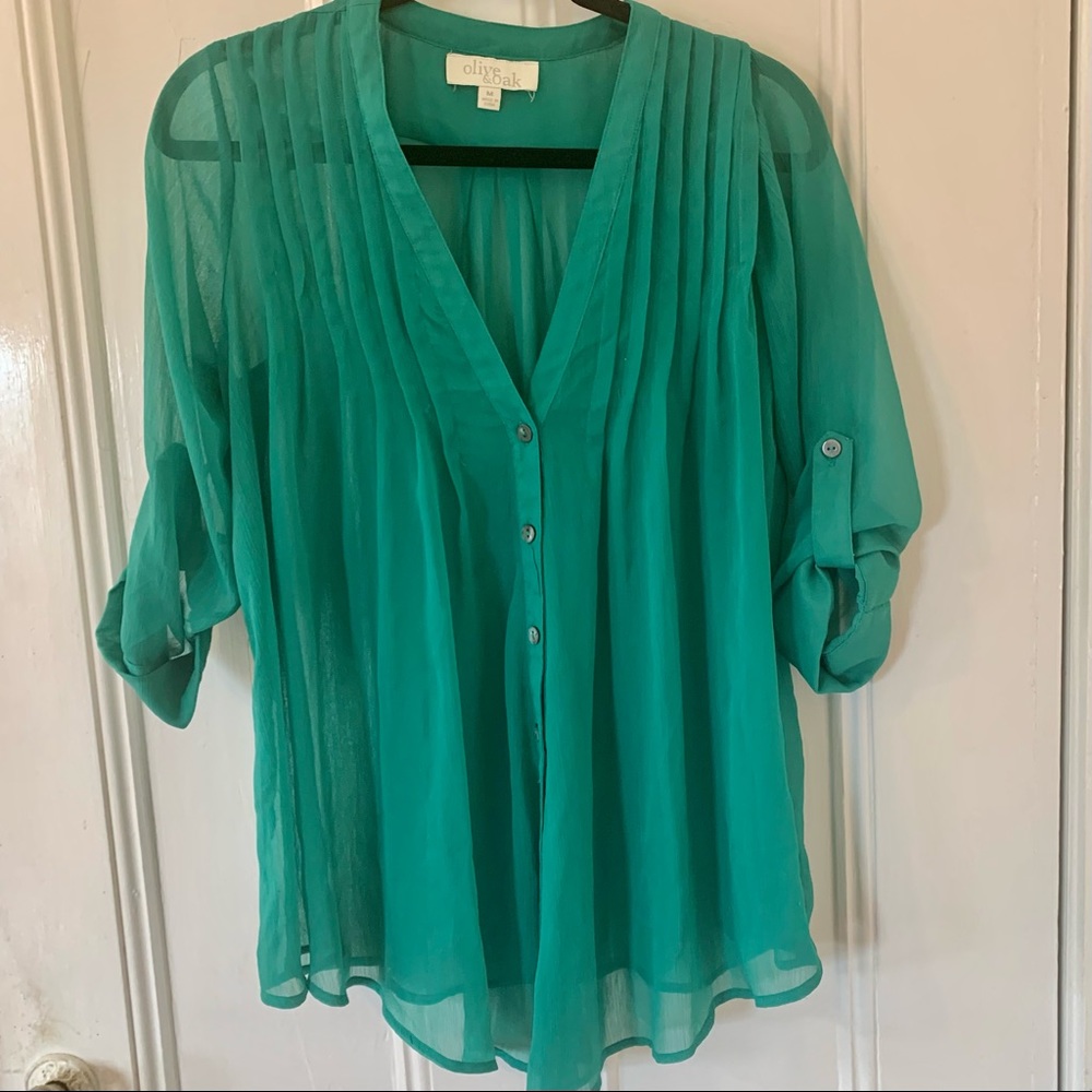 Green Olive & Oak Sheer Long Sleeve Blouse Size M